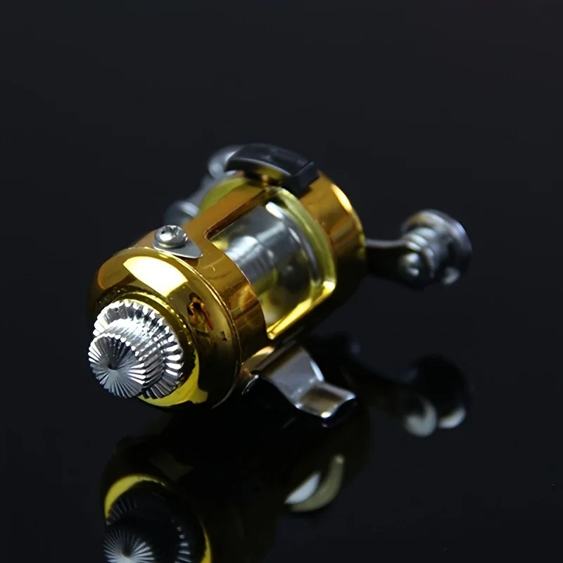 Pen Fishing Pole and Reel Comb - Penn Reel Fierce 评论和价格