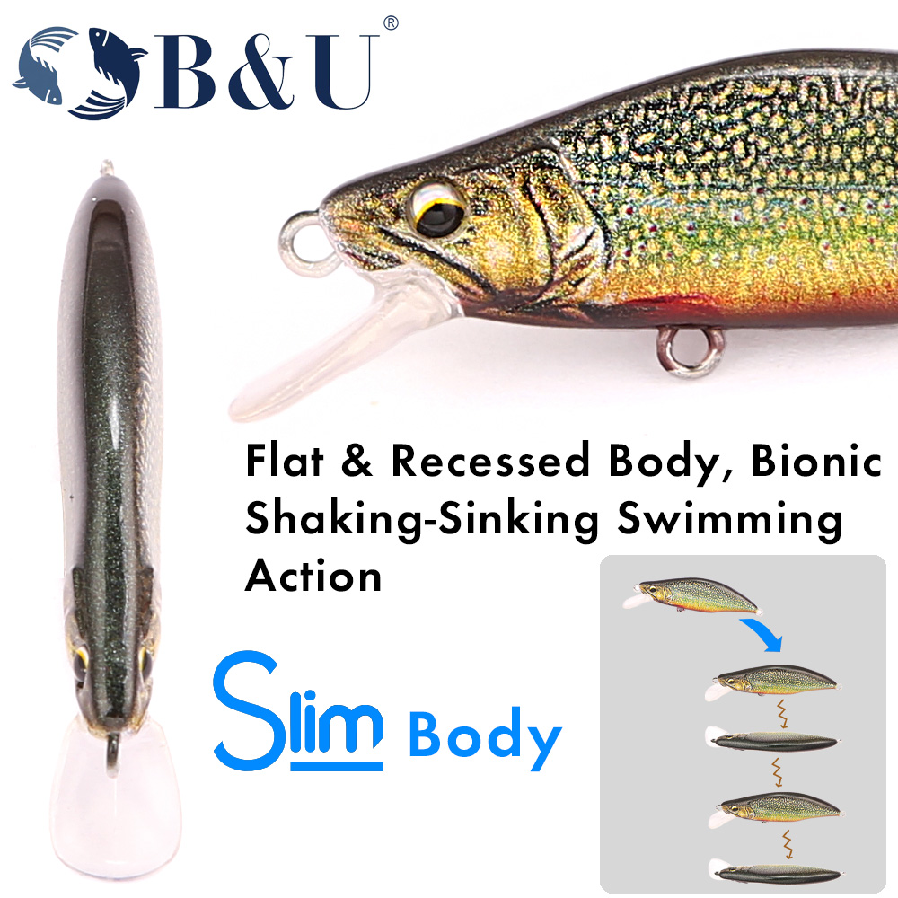 B&U Trout Pattern Hard Bait Si - Fishing Hook Assortment 评论和价格